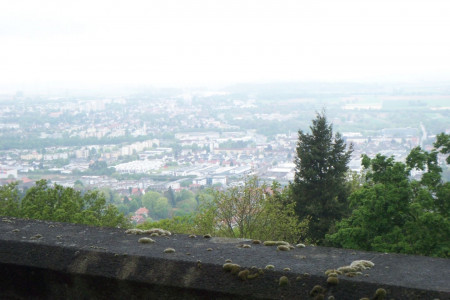 000_0049.JPG