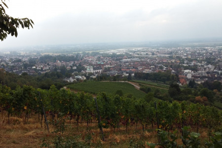 20160918_142645.jpg