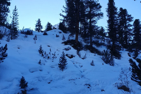 20230129_103153.jpg