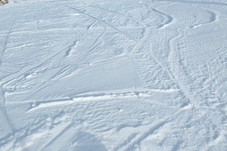 20250120_131554.jpg