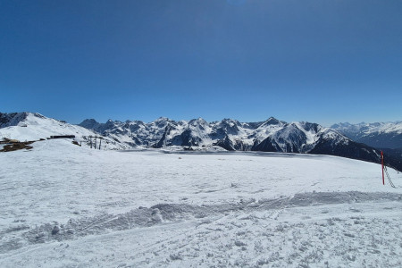 20250407_144559.jpg