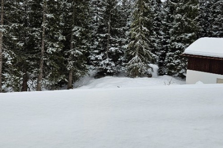 20260207_081511.jpg