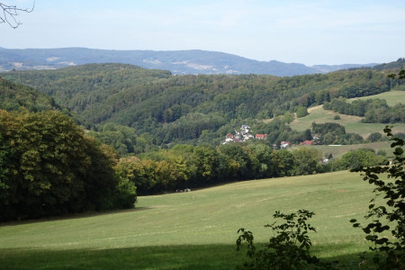 DSC00161.JPG