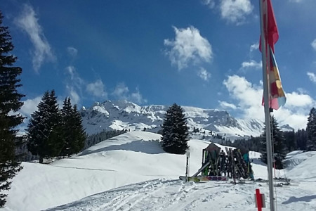 IMG-20170308-WA0020.jpg