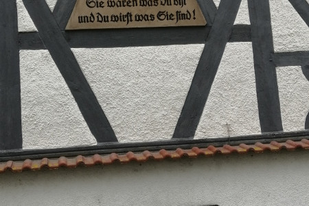 IMG_20200628_110710 - Kopie.jpg