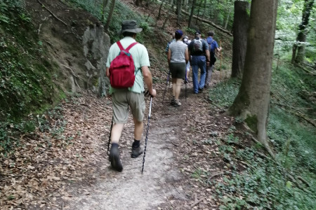 IMG_20200628_121647 - Kopie.jpg