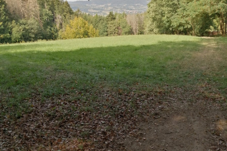 IMG_20200920_124830.jpg