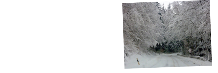 Die verschneite Zufahrt zum Mount Mackenheim